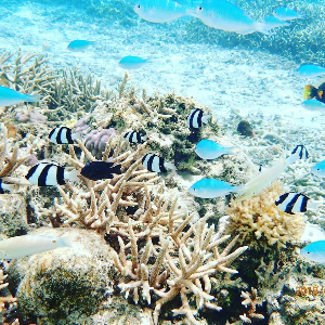 괌 여행 추천 이파오 비치 공원