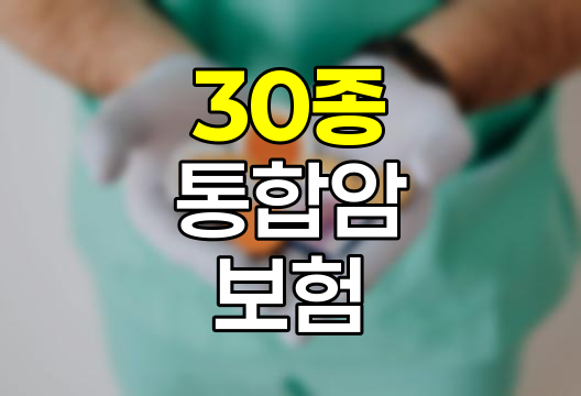 메리츠화재 30종 통합암보험, 광범위한 암 보장의 혁신