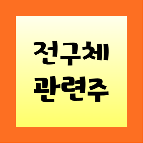 전구체-관련주-6종목-정리