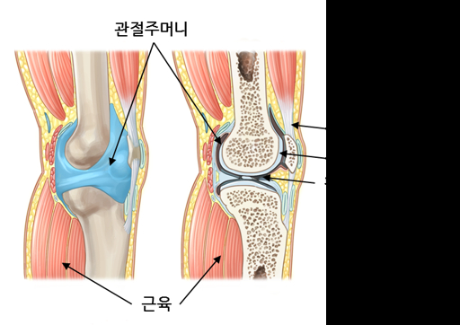 관절경수술 후 물리치료 운동 가이드