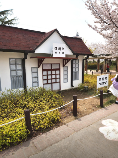 경화역 벚꽃길5
