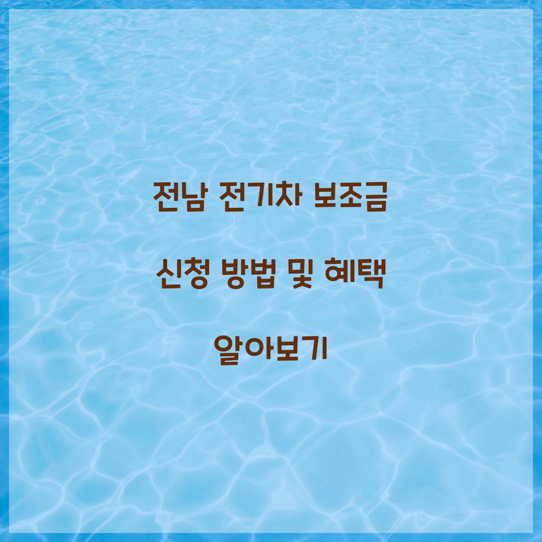 전남 전기차 보조금