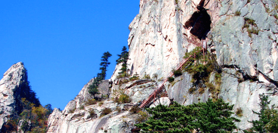 단풍여행 당일 단풍버스여행
