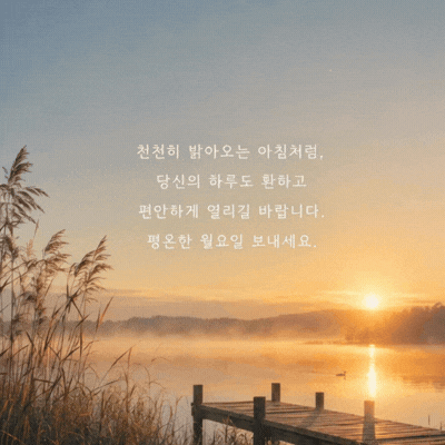 움직이는 월요일 아침 인사말 이미지 움짤 글귀 모음