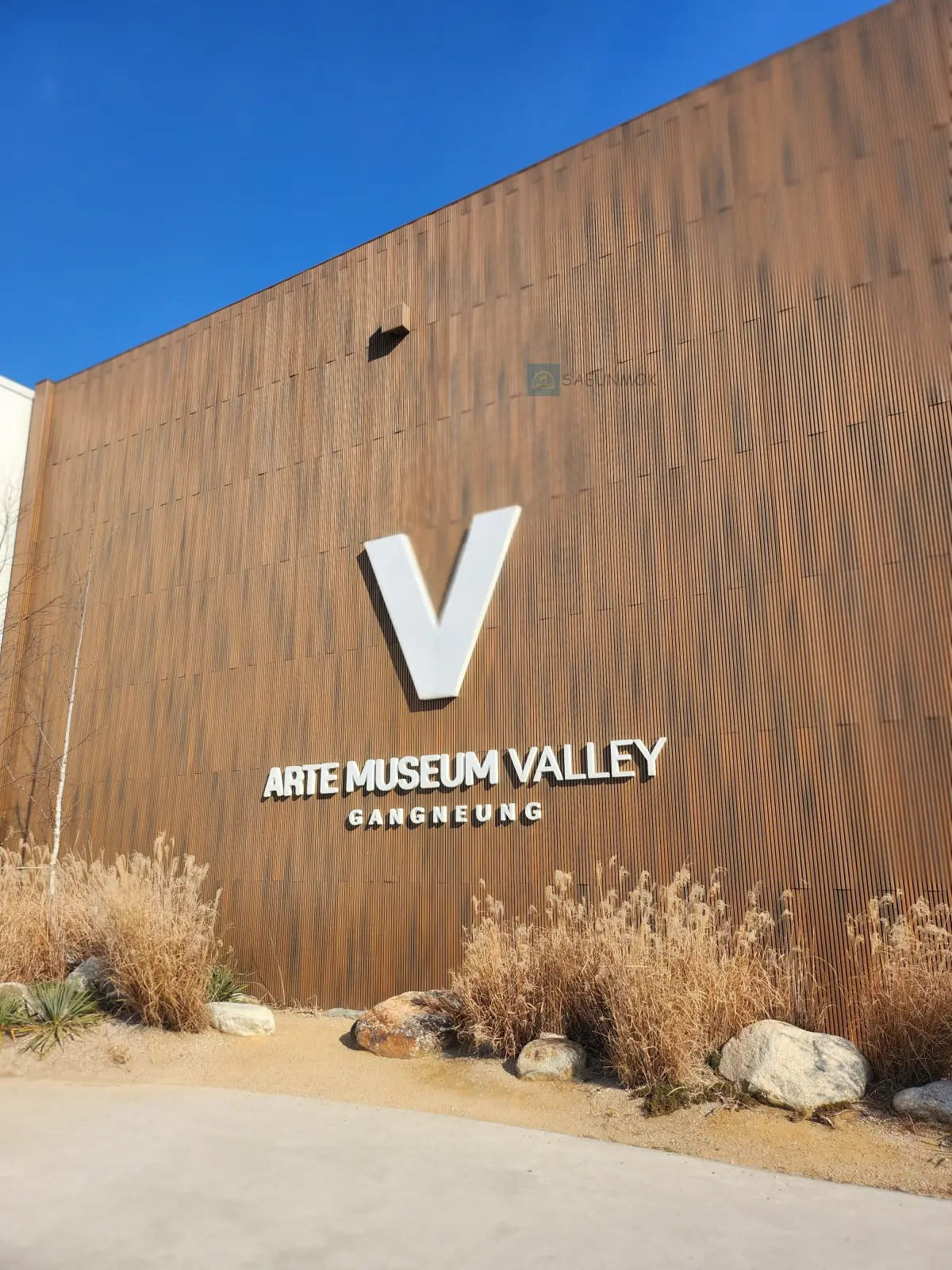 강릉-아르떼뮤지엄-전경