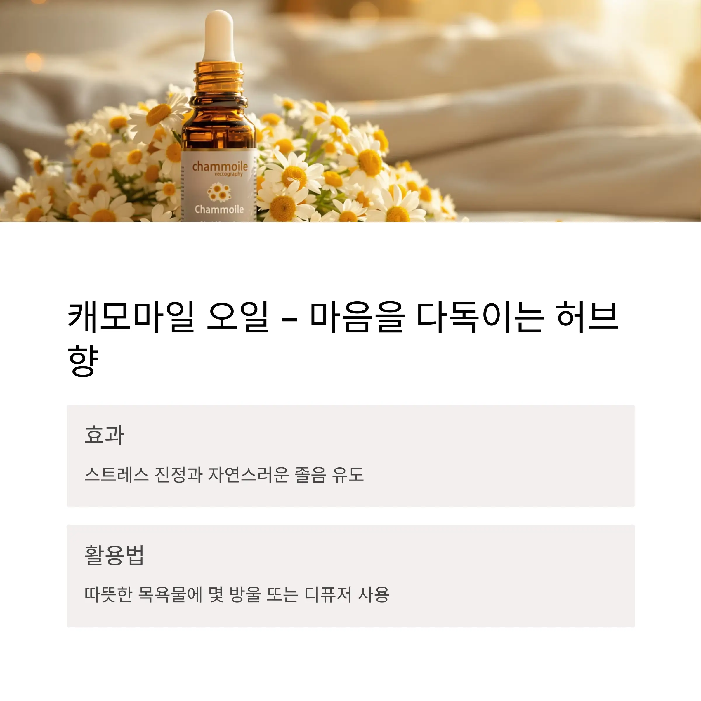 캐모마일 오일 &ndash; 마음을 다독이는 허브 향