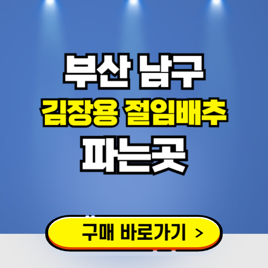 부산 남구 절임배추 사전예약 구입하는곳 ❘ 김장배추 파는곳 가격보기