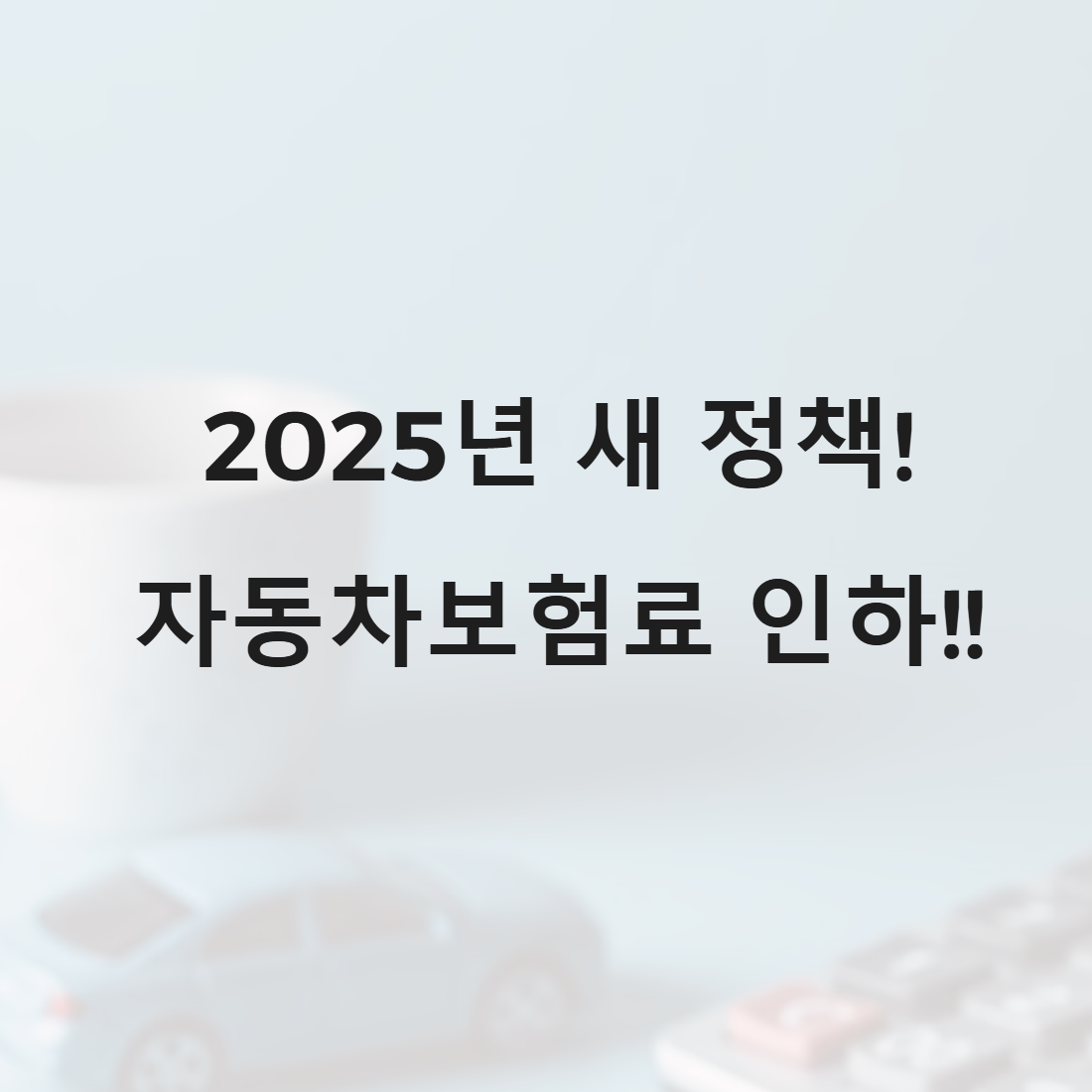자동차보험료 인하