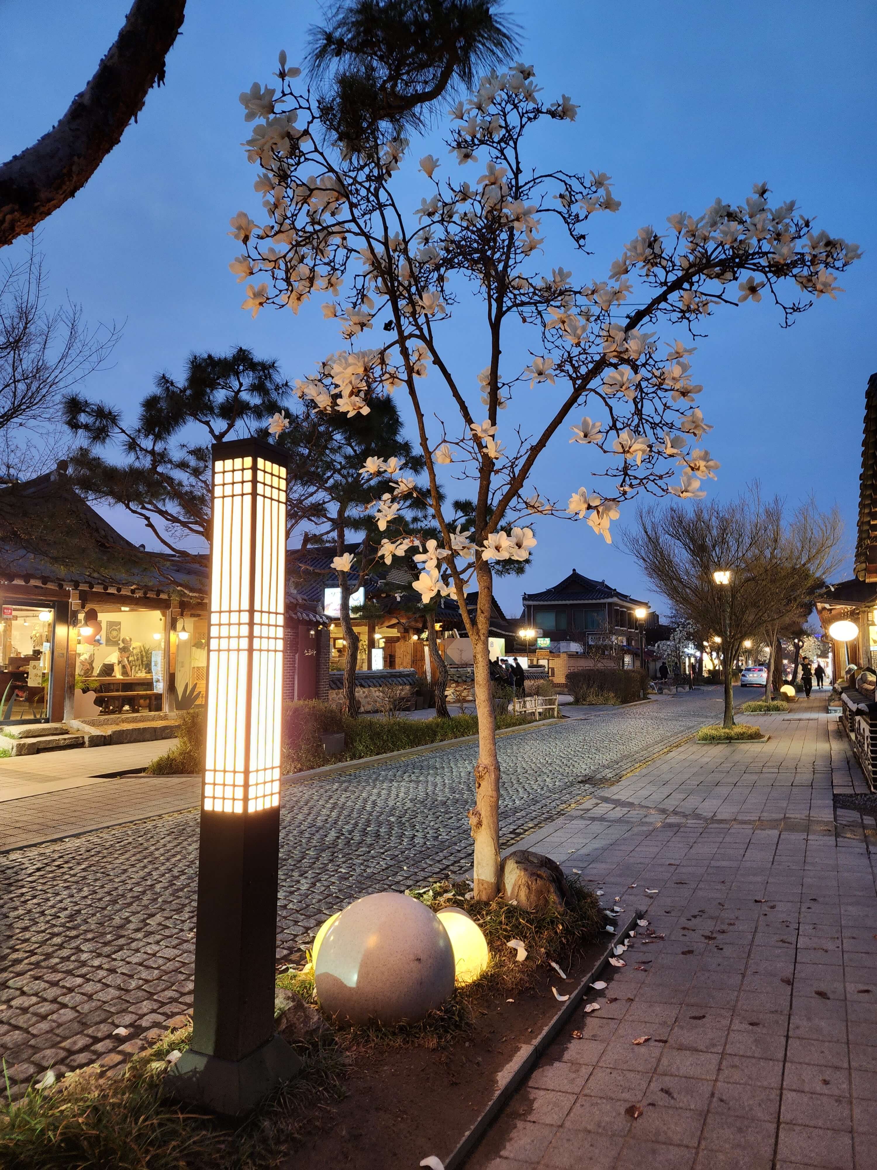 전주 애견동반 갈만한곳