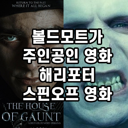볼트모트-오리진-잘생긴-남자배우와-기존-해리포터-볼드포트의-모습의-썸네일