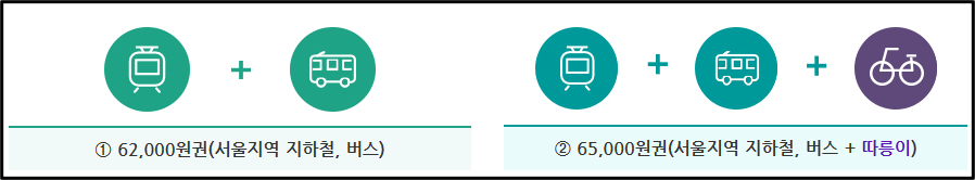 기후동행카드 가격
