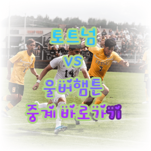 울버햄튼 vs. 토트넘