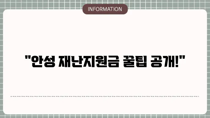 안성 재난지원금: 지원금 활용 정보