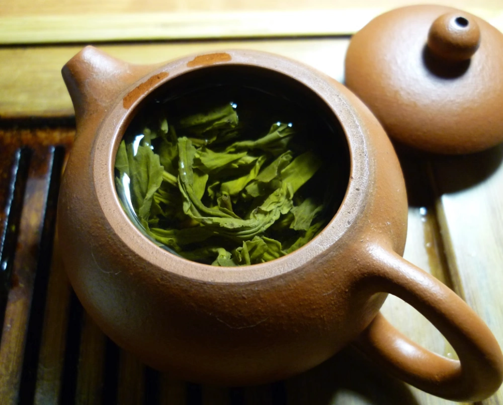 지방간 없애는 법