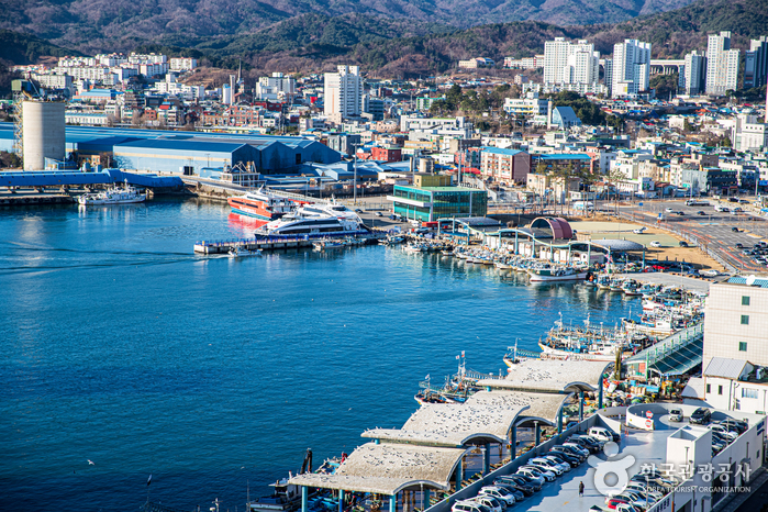 동해 가볼만한곳 - 묵호항