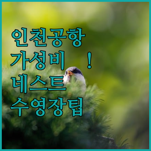 인천공항 근처 가성비 호텔과 네스트 ..
