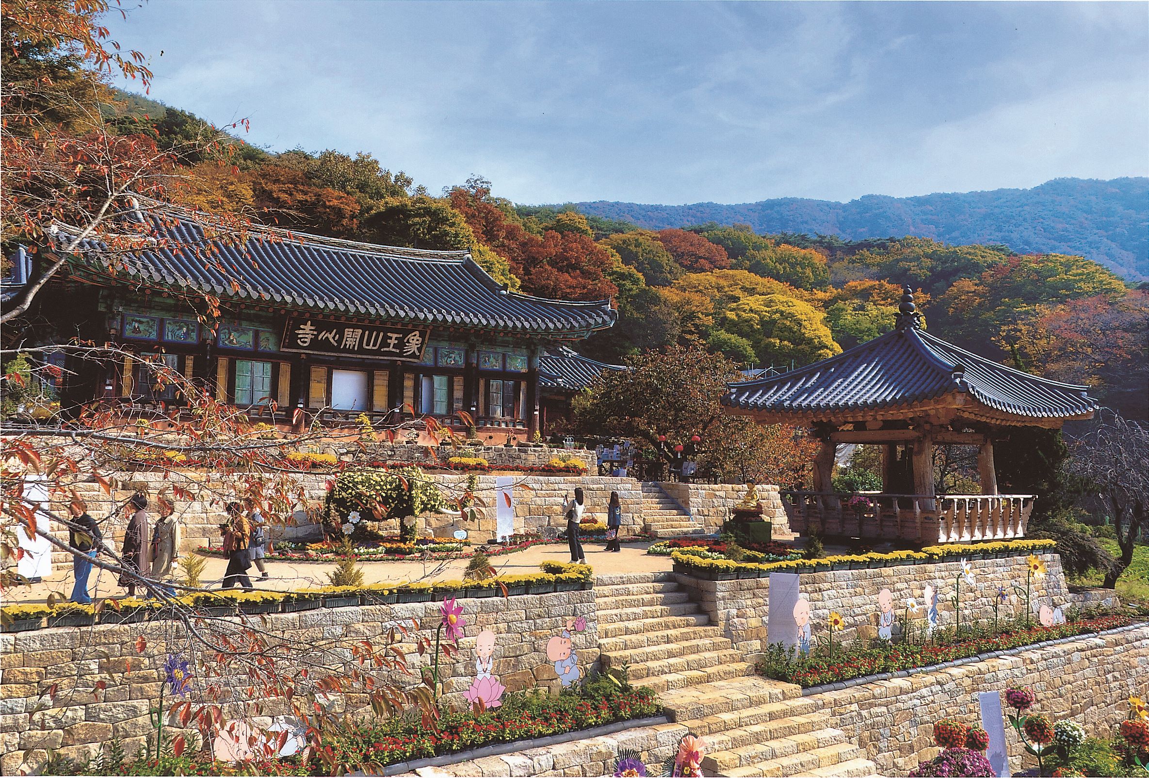 [4월 봄꽃 여행]서산 개심사 겹벚꽃·청벚꽃 여행기❘벚꽃 개화 상황, 아직은 시작, 그러나 곧 절정