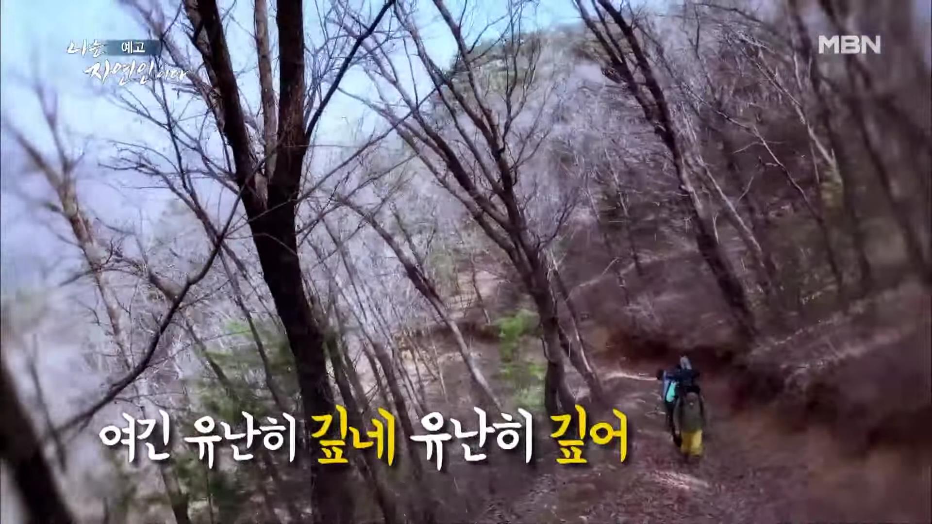 나는 자연인이다 100년 집 머위꽃 튀김 달래무침 개복숭아 고추장 황태 북어 구이 고립무원의 자유 자연인 서옥선 소개 및 윤택 출연 549회 다시보기