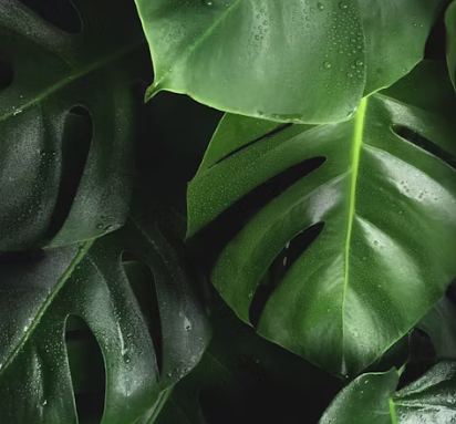 여자 창업 아이템에 대하여 알아보기