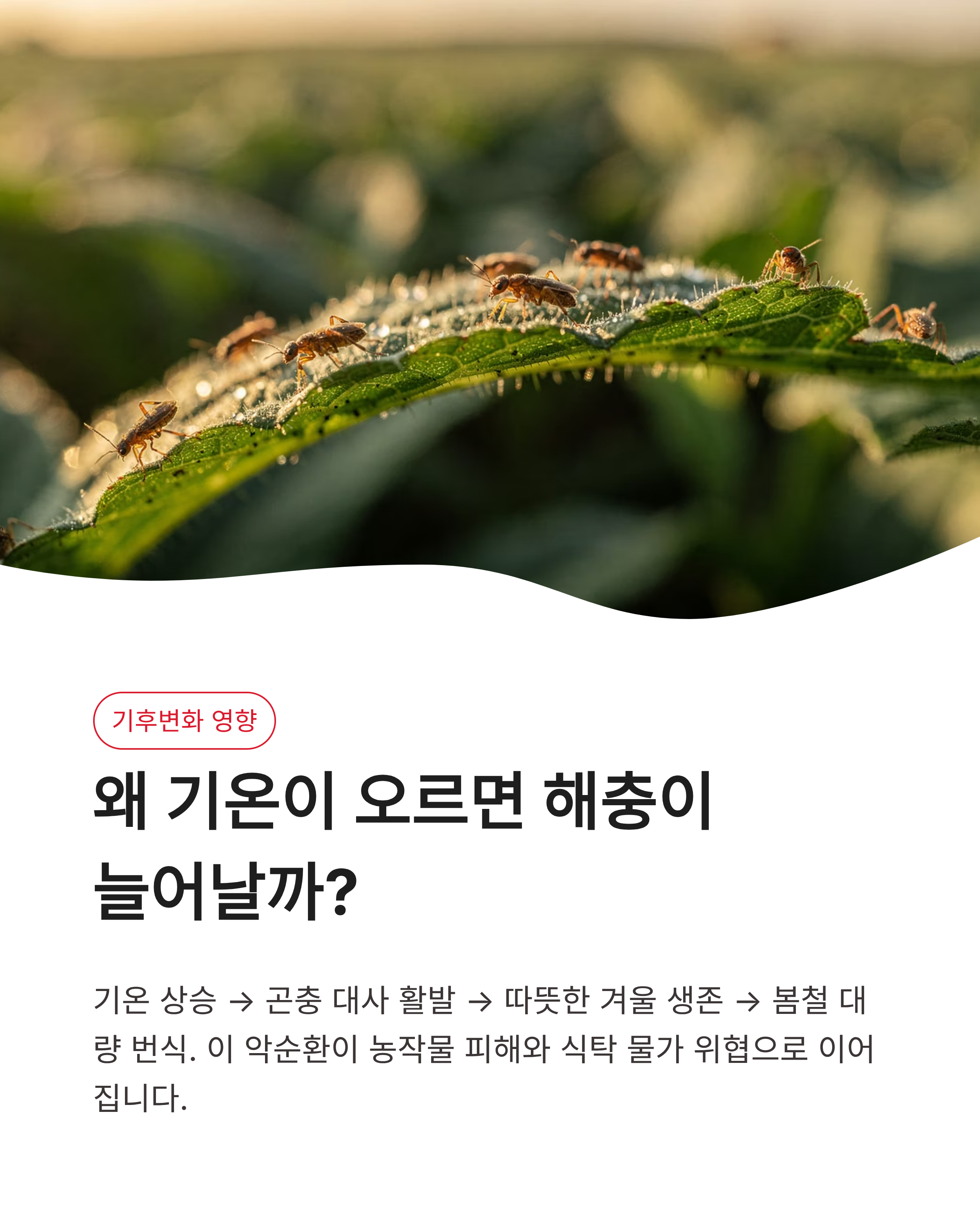 6월 3일 기후행동(기후동행) 퀴즈정답 바로가기, 오늘 문제의 정답은?