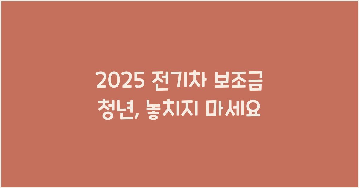 2025 전기차 보조금 청년