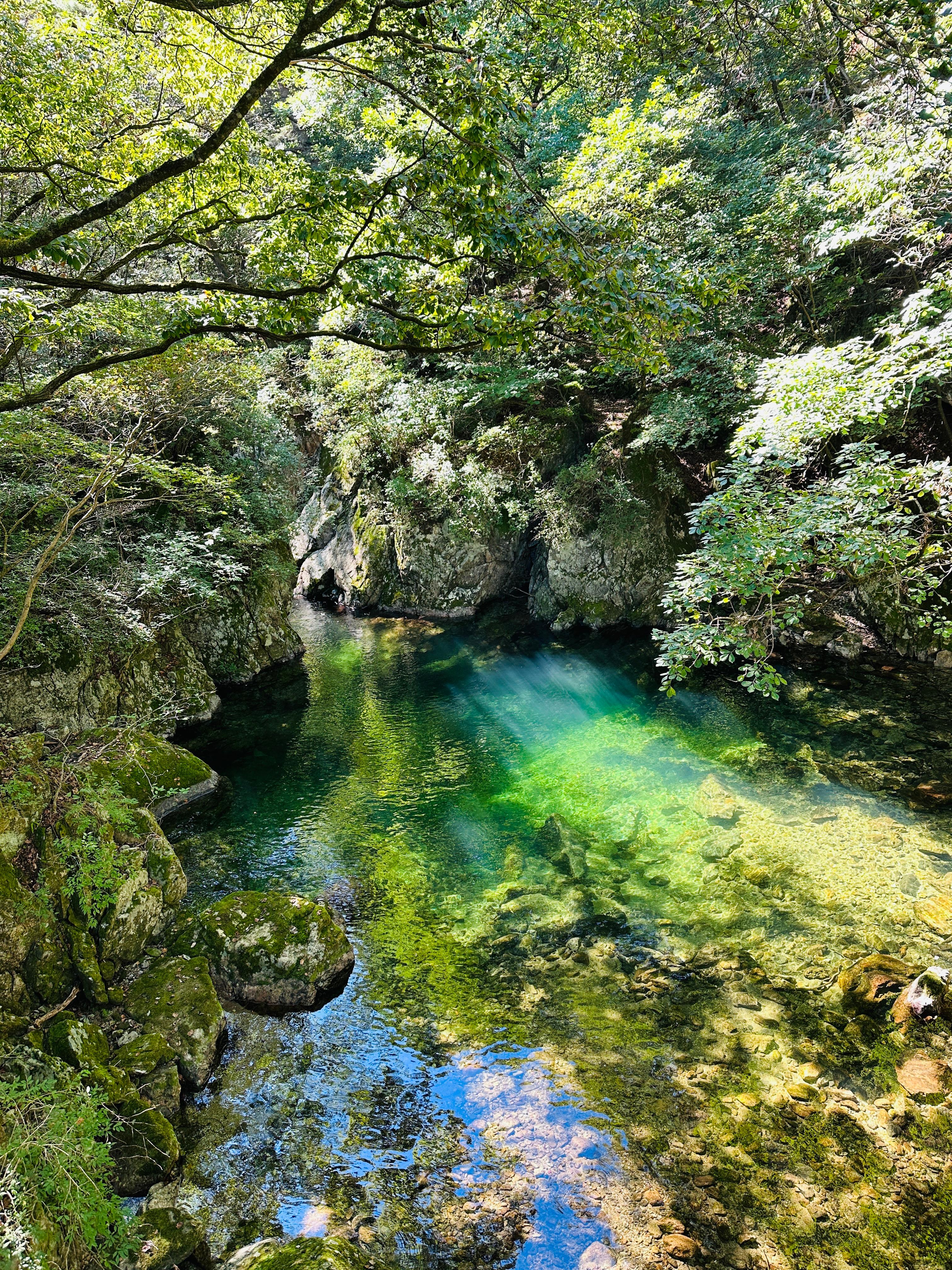 치악산-산책길