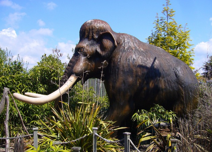 희귀 동물의 유전자 분석을 통한 보존 과학과 복원 가능성