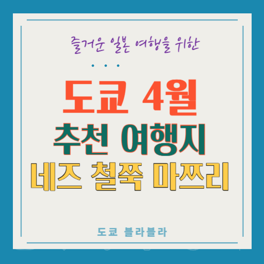 도쿄 4월 추천 여행지 #2 네즈 신사 철쭉 축제 완벽 가이드