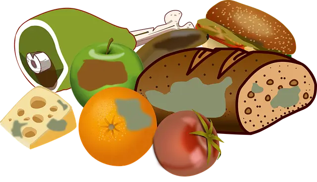 음식물 처리기 지원금 사업