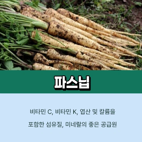 파스닙