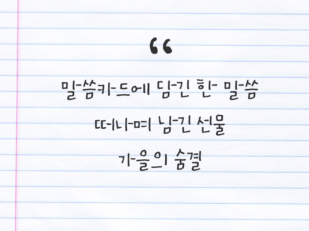 25년 11월 16일 오늘 내 마음 기록하기 감사노트, 감사를 통해 발견한 행복, 오늘 감사한 순간들 by 피어나네 감사일기