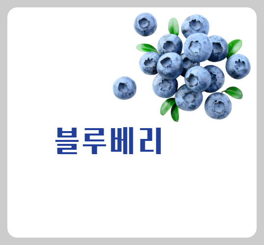블루베리 효능
