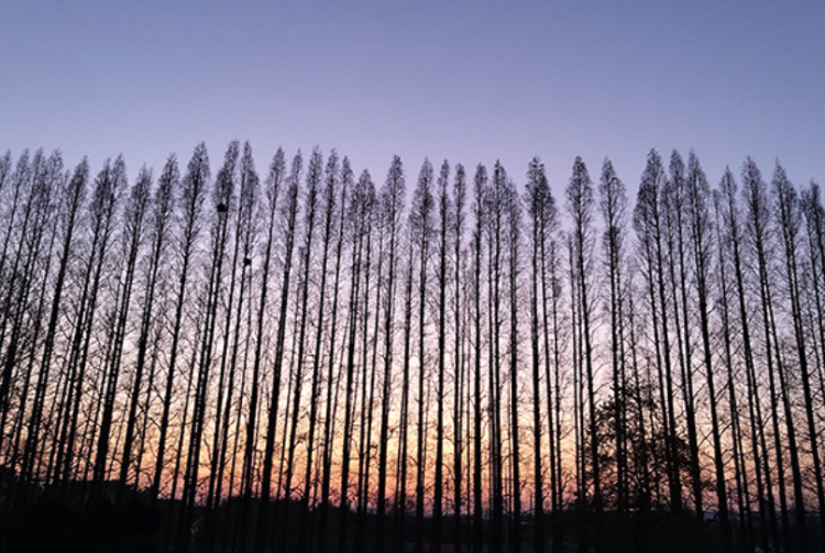 익산 아가페정원