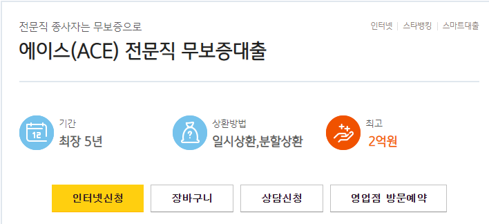 kb국민은행 에이스 전문직 무보증대출