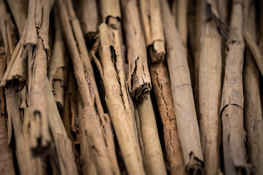 Stick