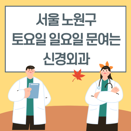 서울 노원구 토요일 일요일 신경외과 진료 병원 리스트