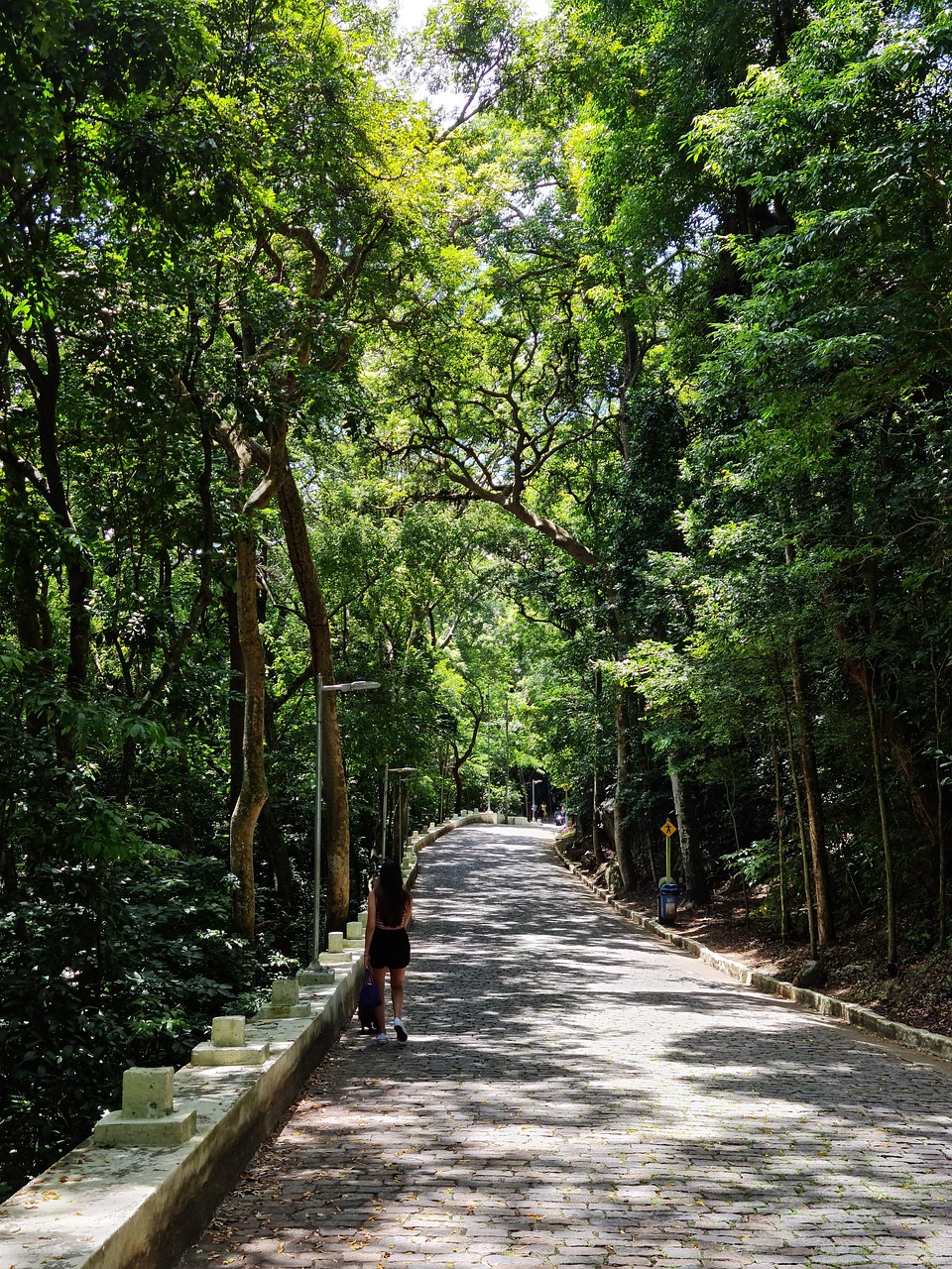 자연 속에서 얻은 마음의 평화: 자연과의 연결이 주는 치유력