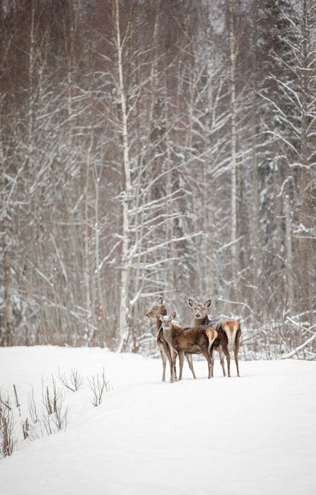 전국 날씨 예보 최고 기온 최저 기온 추위 전망