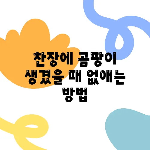 찬장에 곰팡이 생겼을 때 없애는 방법