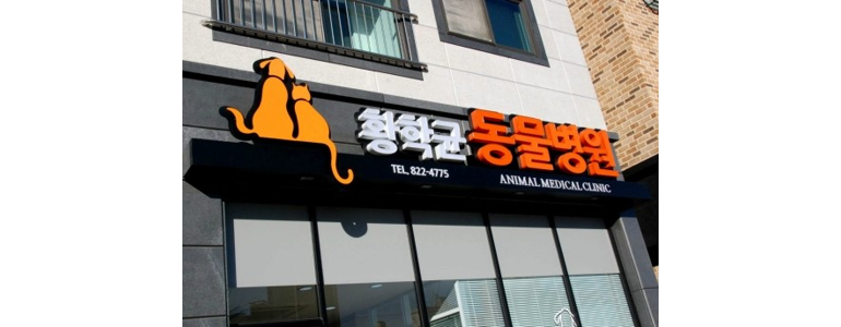 논산시 동물병원