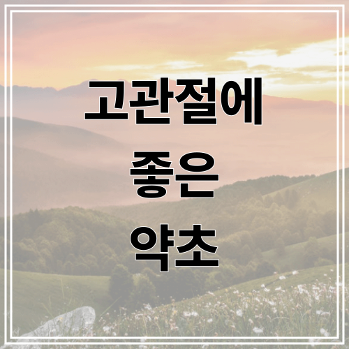 고관절에 좋은 약초