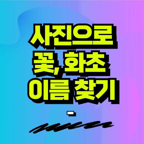 섬네일