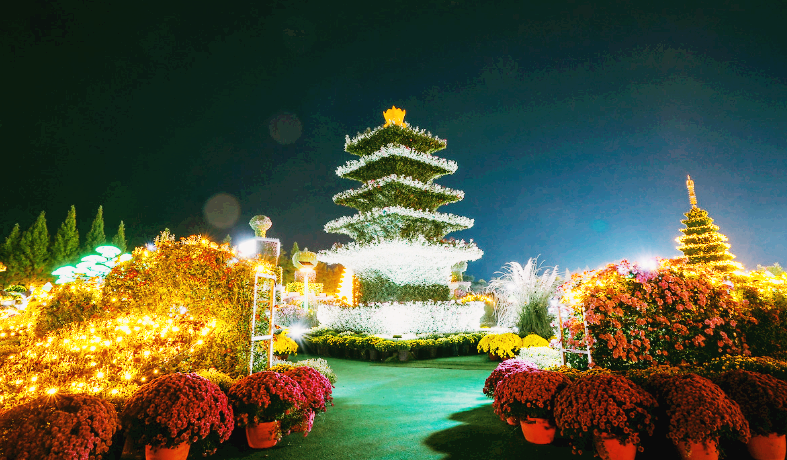 익산 천만송이 국화축제