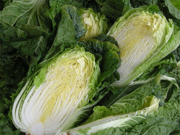 김장 김치 와 절임배추