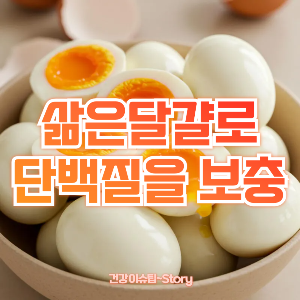 삶은달걀로 단백질을 보충