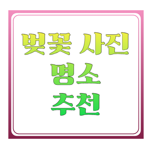 벚꽃 사진 명소 추천: 인생샷 나오는 전국 스팟 + 촬영 꿀팁 총정리