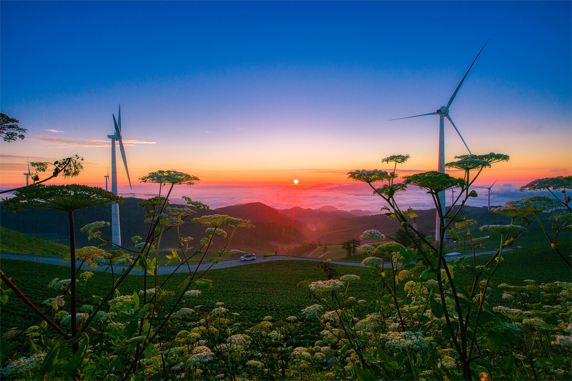 태택 매봉산 일출-1