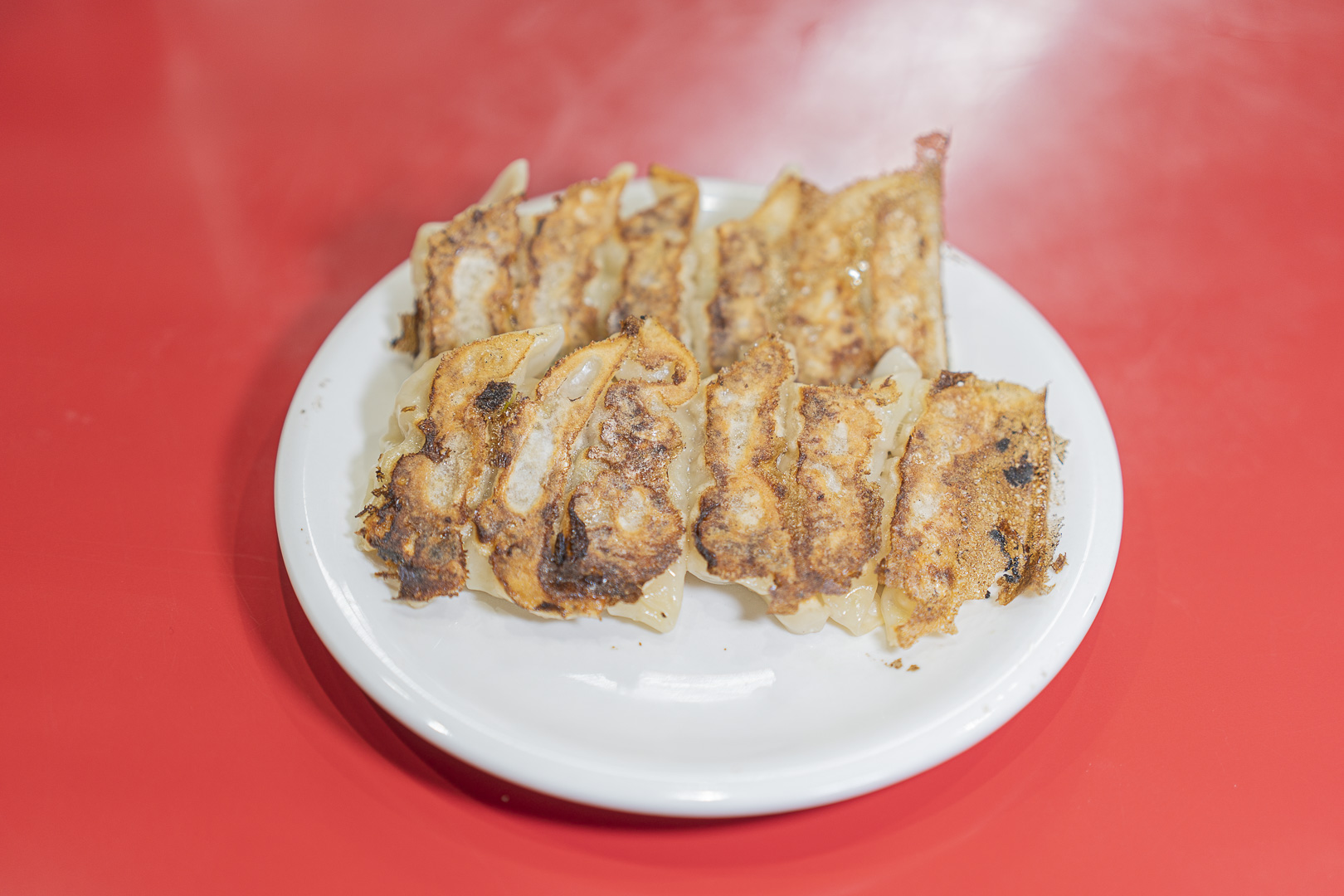 Pan-fried gyoza on a white plate at Ichiro Sannomiya Main Shop