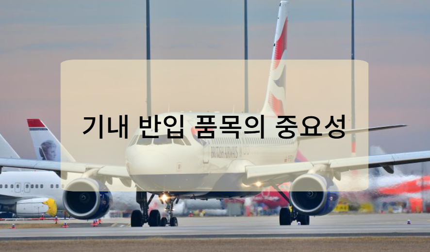 기내 반입 품목의 중요성