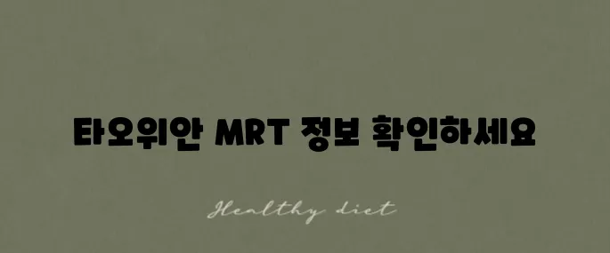 타오위안 공항 MRT 대만 공항철도 시간표와 요금 안내입니다!